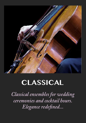 Classical musicians and ensembles for your wedding reception, cocktail hour or corporate event for the ultimate in elegance