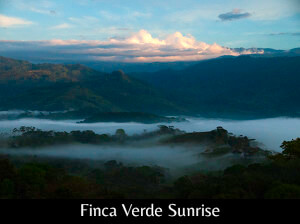 View from the porch at sunrise from Finca Verde, Platanillo, Costa Rica