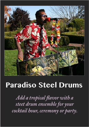 Paradiso steel drums, Caribbean Music, calypso, soco, Island Music