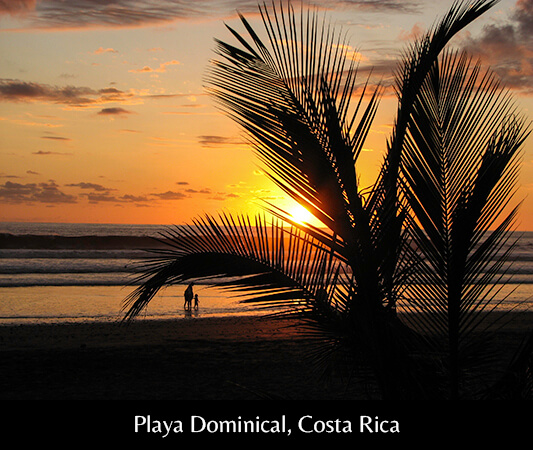 AME_Playa Dominical