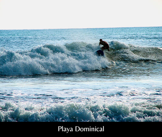 AME_Playa_Dominical