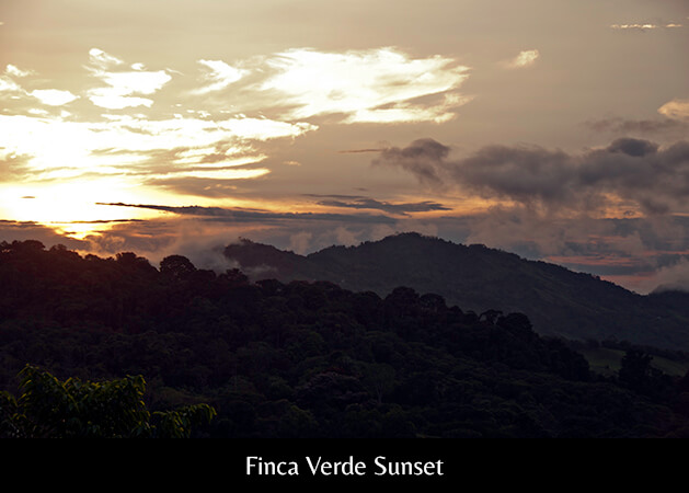 Finca Verde Sunser