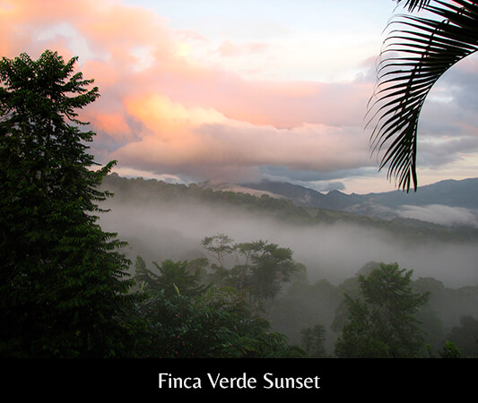 Finca Verde Sunset 3