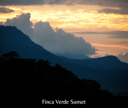 Finca Verde Sunset