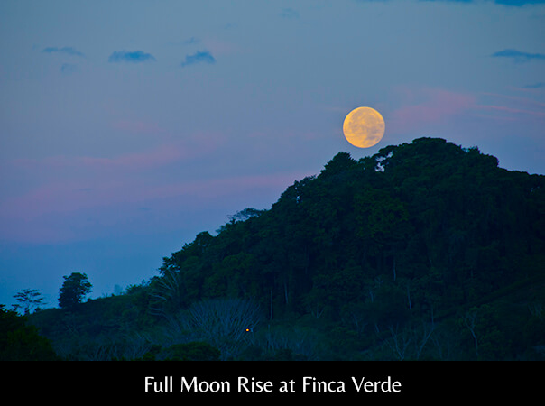 Full Moon Rise at Finca Verde