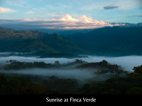 Sunrise at Finca Verde